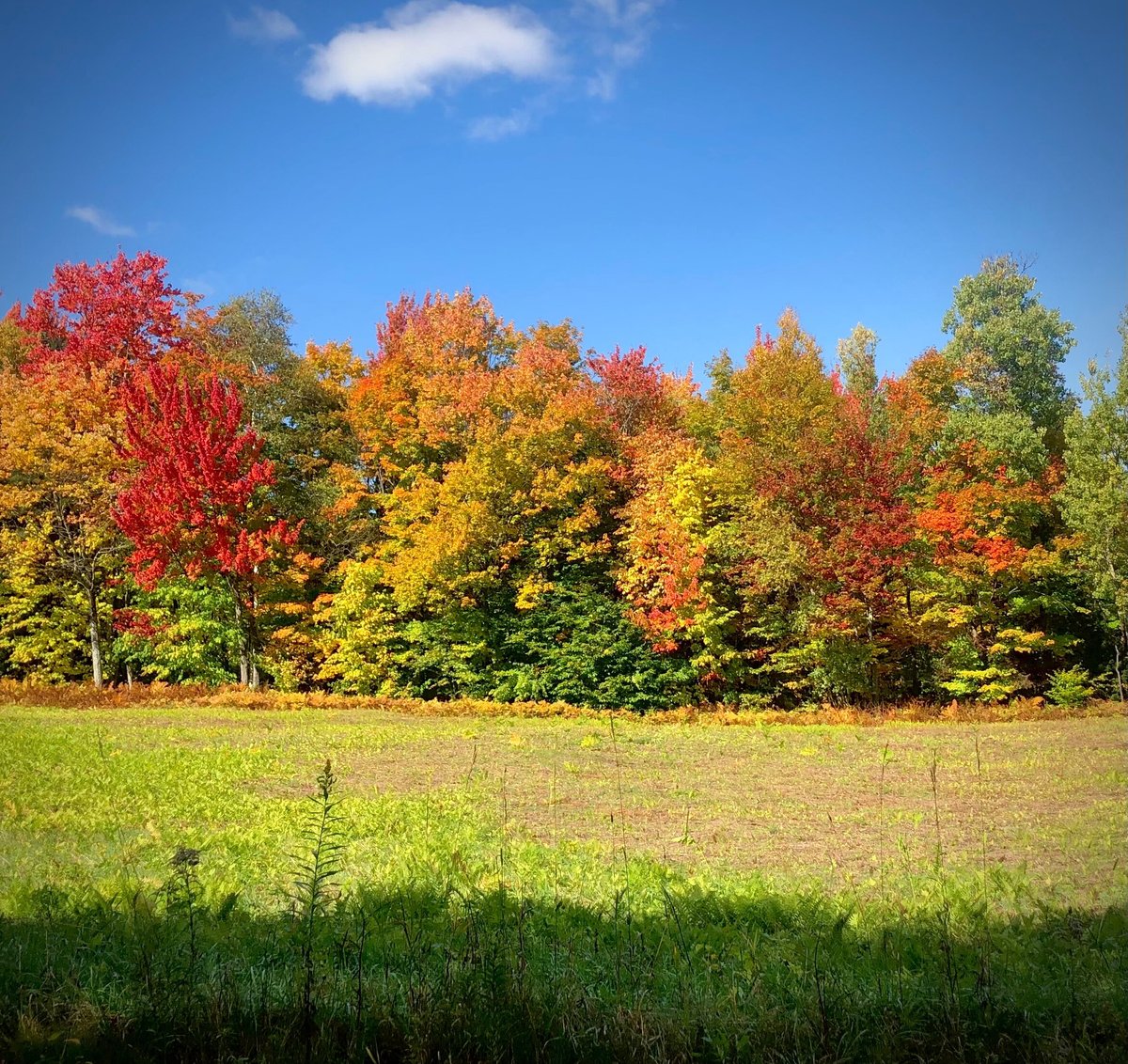 Stowe Meadows - Updated 2024 B&b Reviews (elmore, Vt)