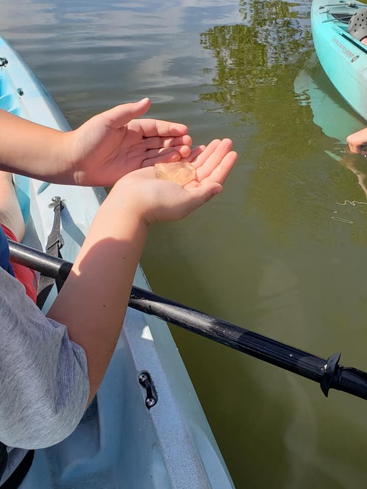 2023 Manatee And Dolphin Kayaking | Haulover Canal (Titusville)