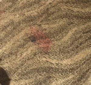 One of many many red spots
