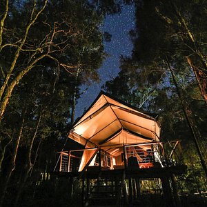 Luxury safari tent under the starry sky.