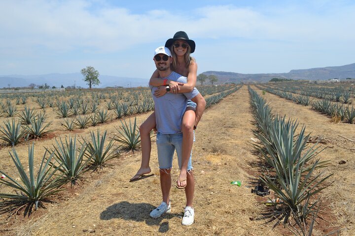 2023 Full Day Guided Tour in Amatitán and Tequila with Tasting