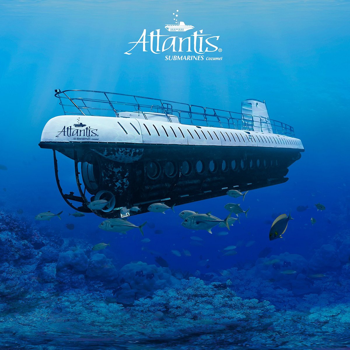 Introducir 52+ imagen atlantis submarino en cozumel