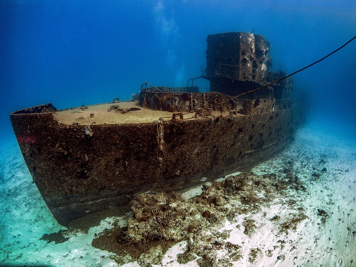 Atlantis Submarines Cozumel - 2023 Lo que se debe saber antes de viajar -  Tripadvisor