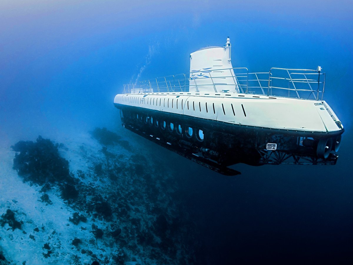 Atlantis Submarines Cozumel - 2023 Lo que se debe saber antes de viajar -  Tripadvisor