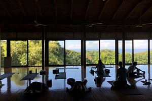 BODHI TREE YOGA RESORT - Updated 2024 Prices & Hotel Reviews (Nosara, Costa  Rica)