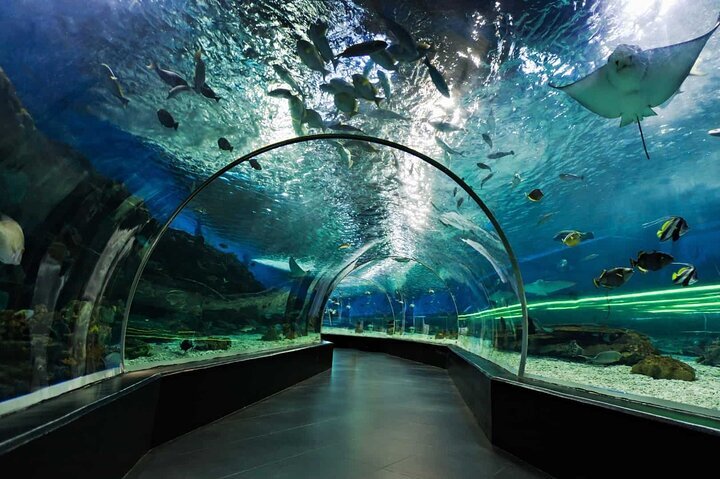 2023 Dubai Aquarium and Underwater Zoo