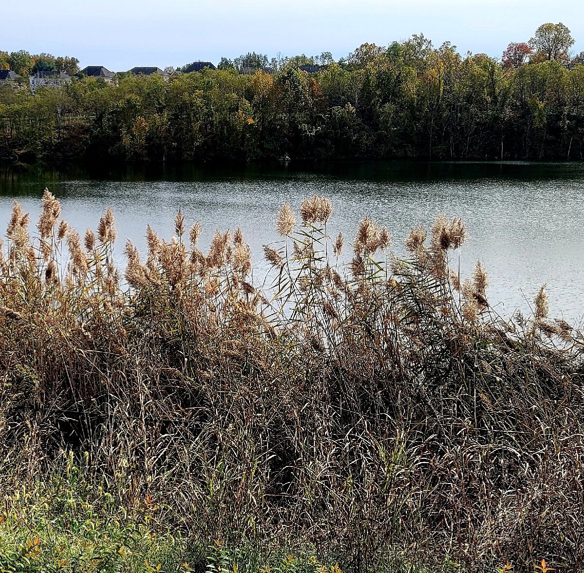 Quarry Lake (Pikesville) All You Need to Know BEFORE You Go