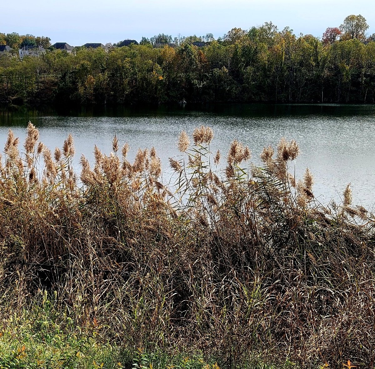 Quarry Lake (Pikesville) - All You Need to Know BEFORE You Go