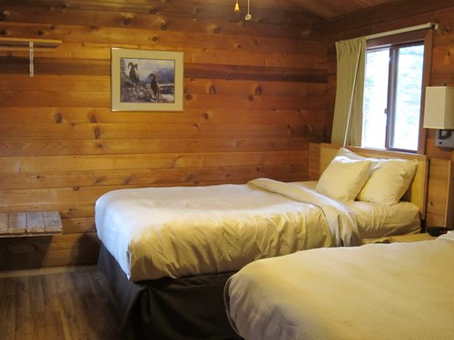 DENALI CABINS - Updated 2023 Prices & Campground Reviews (Denali ...