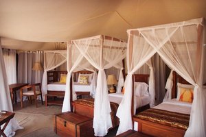 Zimmer und Suite