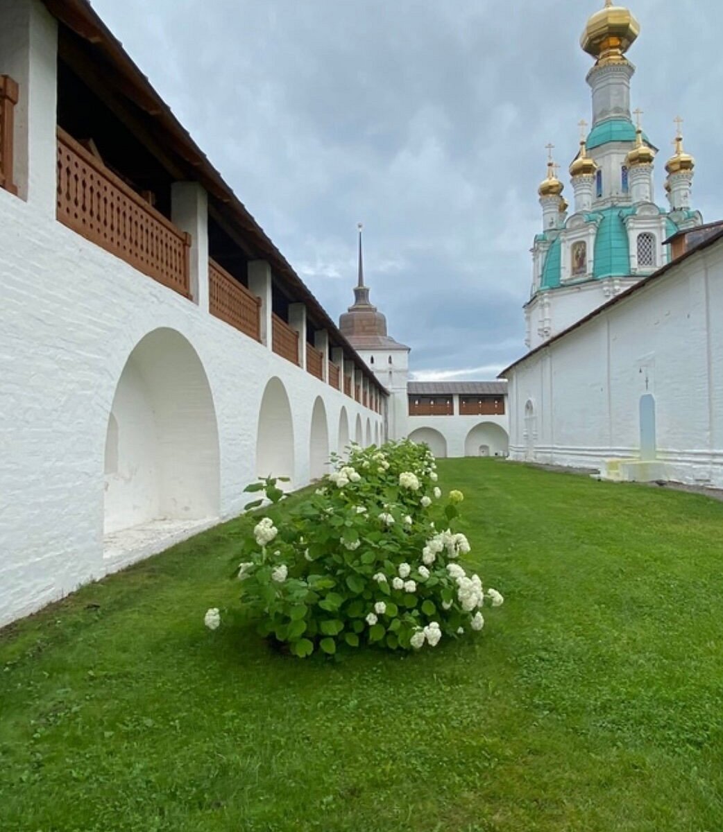 Толгский женский монастырь Кедровая роща