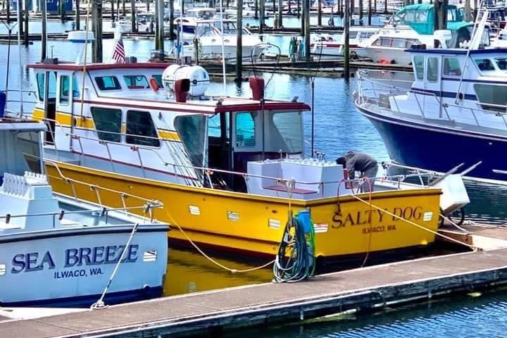 SEABREEZE Charters image