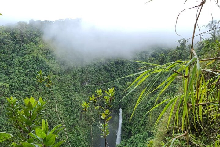 Alajuela, Costa Rica 2023: Best Places To Visit - Tripadvisor