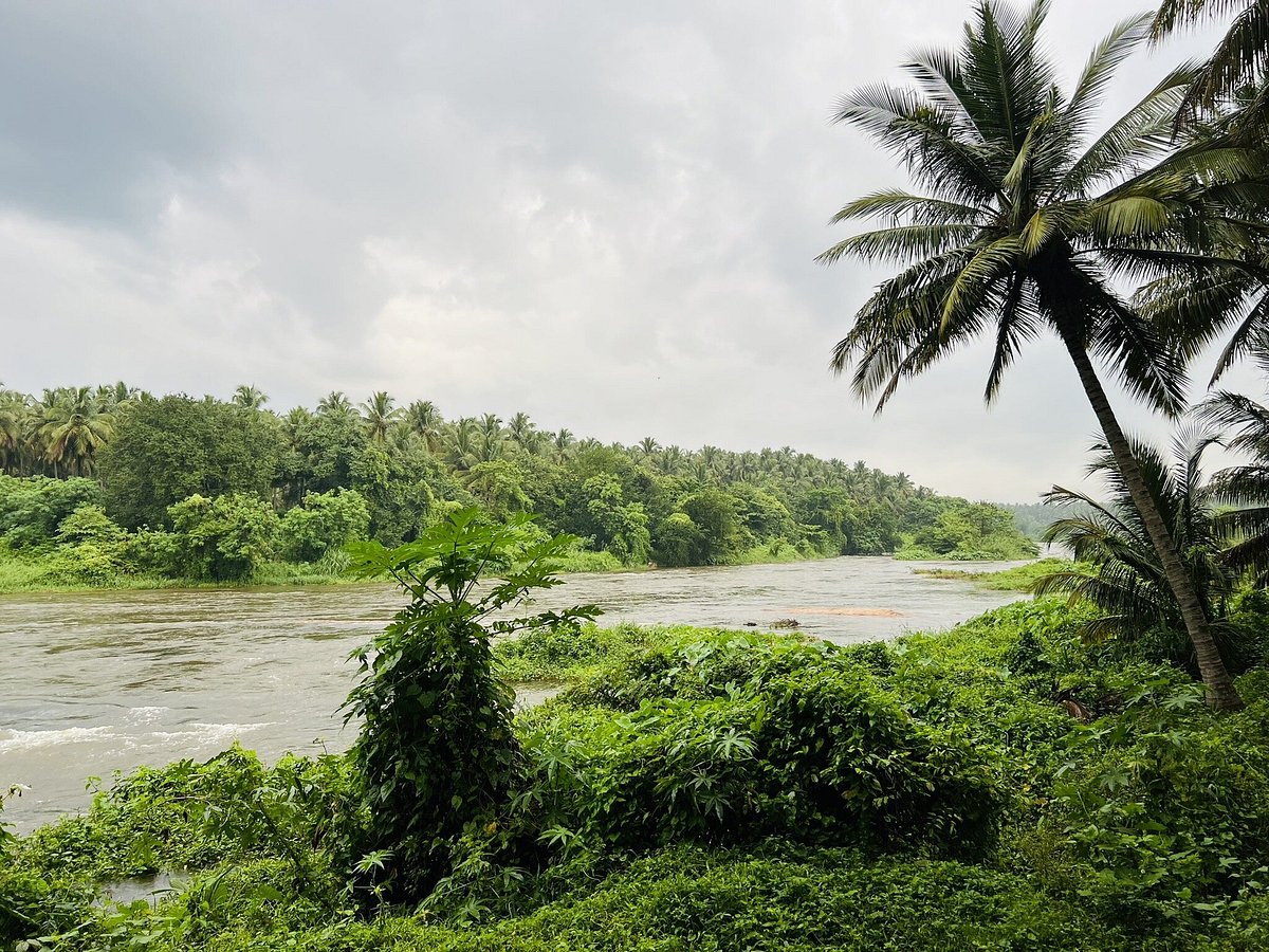 SAKTHI RIVER RESORTS (Marchinaickenpalayam) - отзывы, фото и сравнение цен  - Tripadvisor