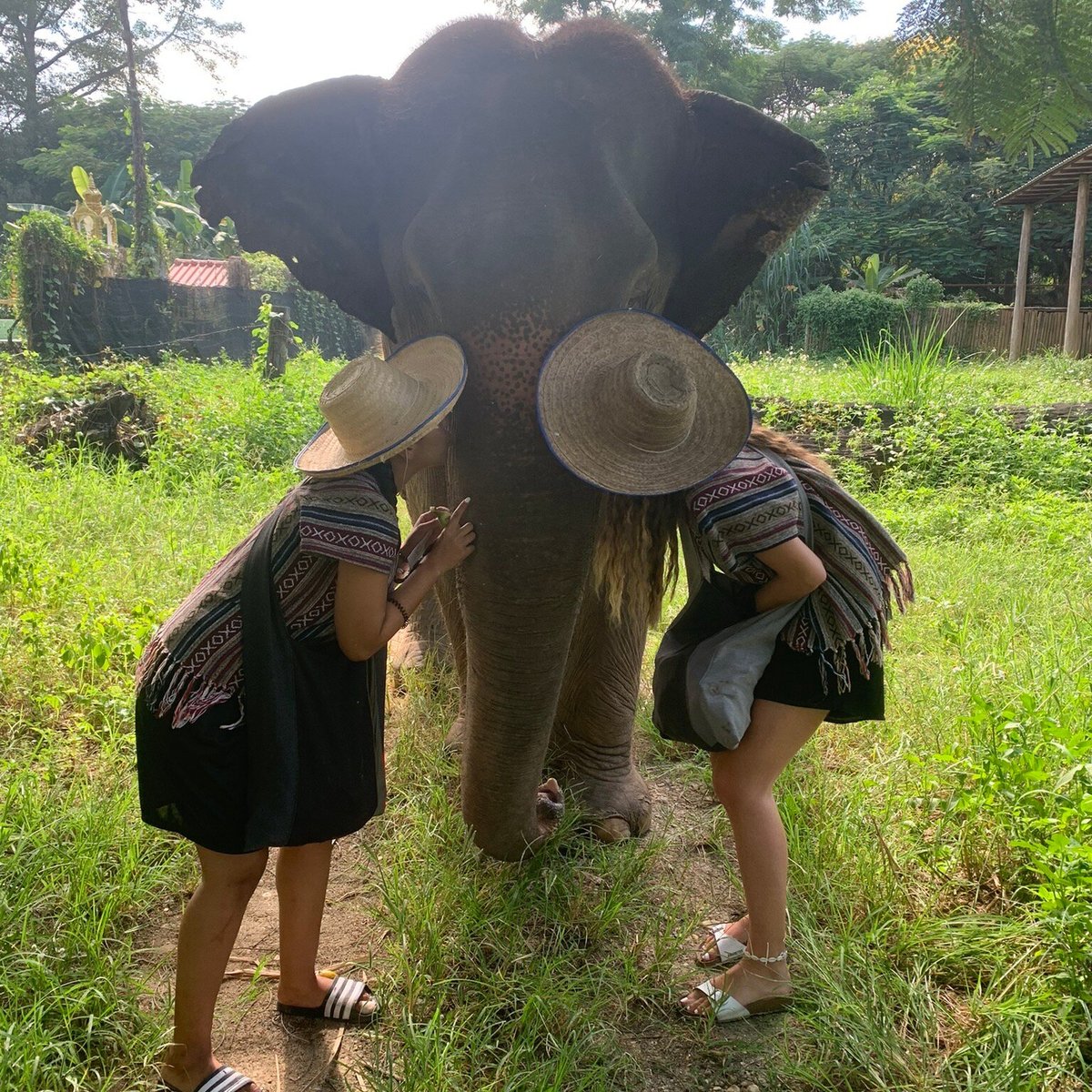 KANJANA ELEPHANT SANCTUARY (Mae Taeng) - 2022 What to Know BEFORE You Go