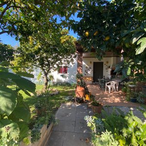 Un gîte à 5 mn du centre de Golega en pleine nature au calme.