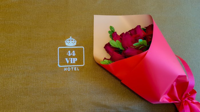 Imagen 14 de 44 VIP Hotel