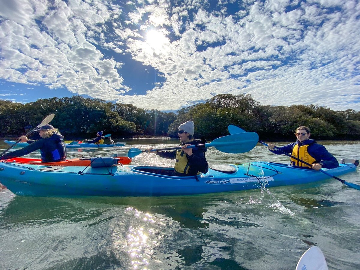 Adventure Kayaking SA (Adelaide): All You Need to Know