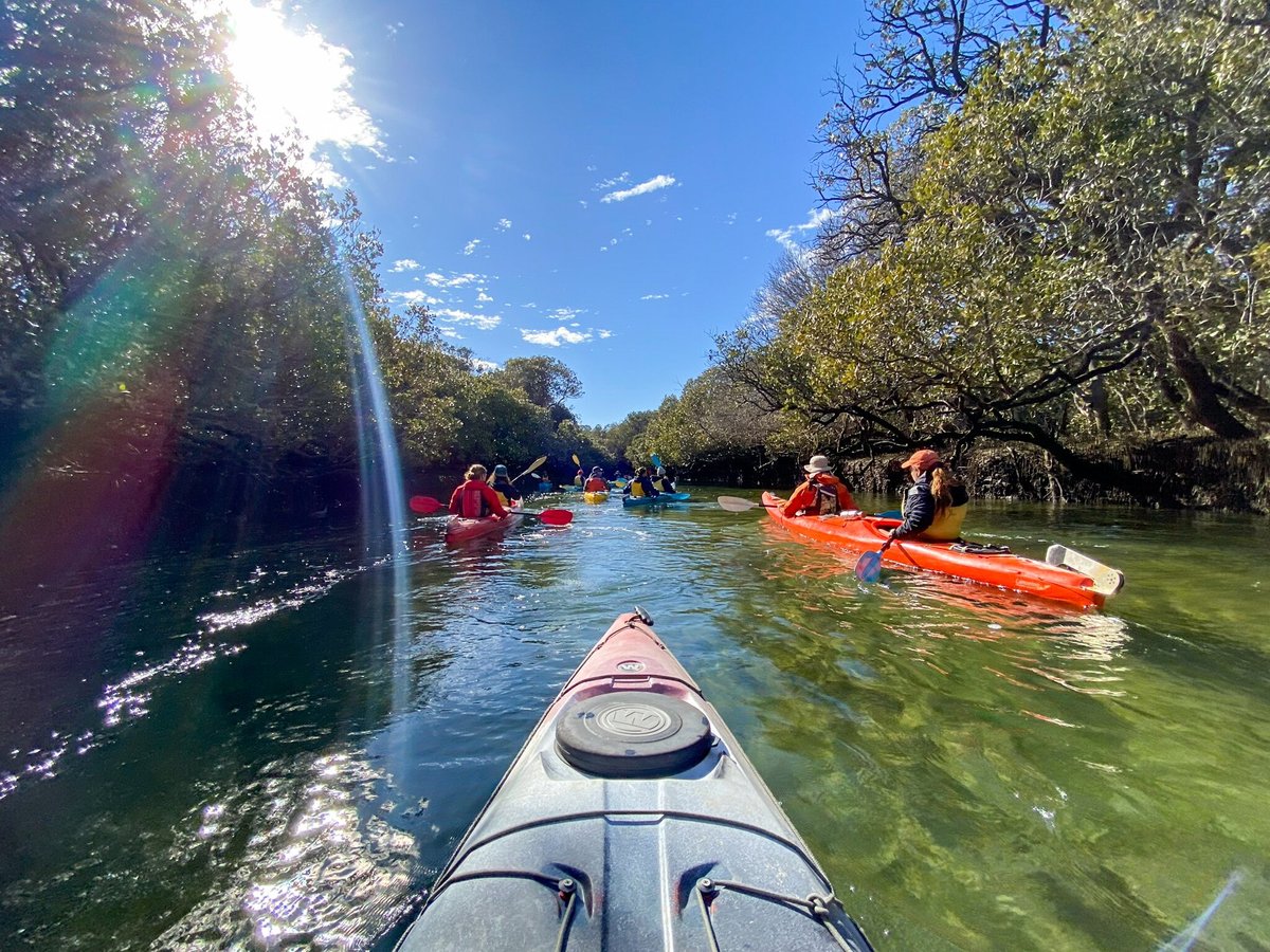 Adventure Kayaking SA - All You Need to Know BEFORE You Go (2024)