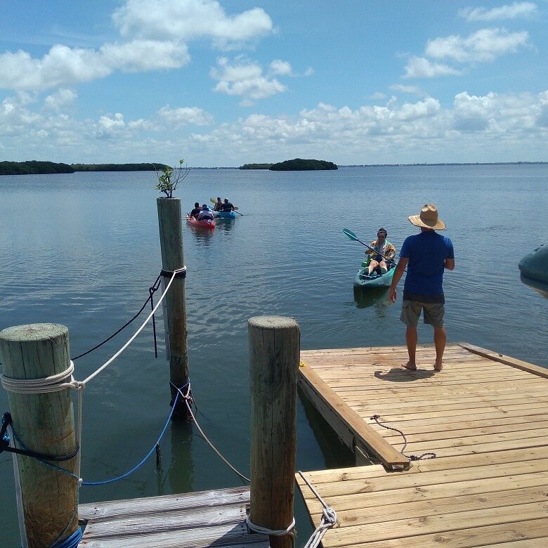 kayak tours longboat key