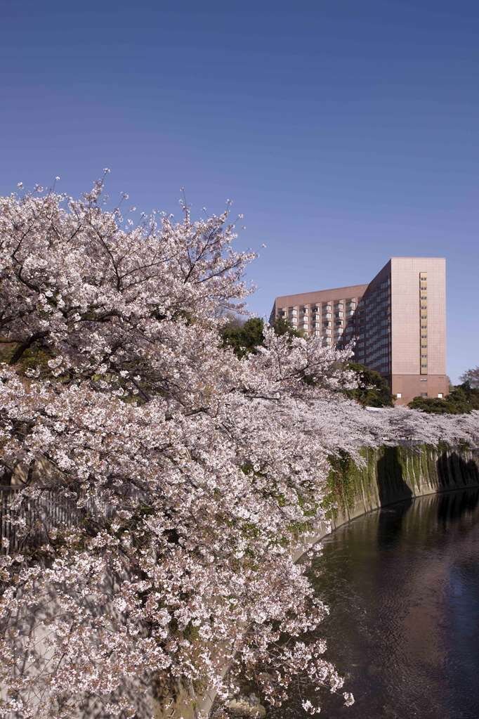 Imagen 1 de Hotel Chinzanso Tokyo