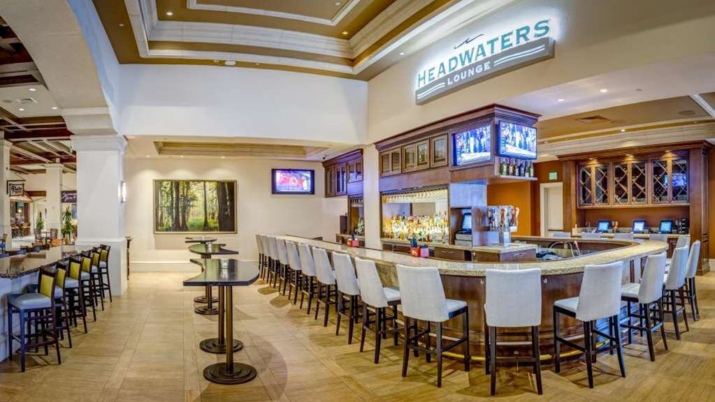 Hotel photo 72 of Rosen Shingle Creek.