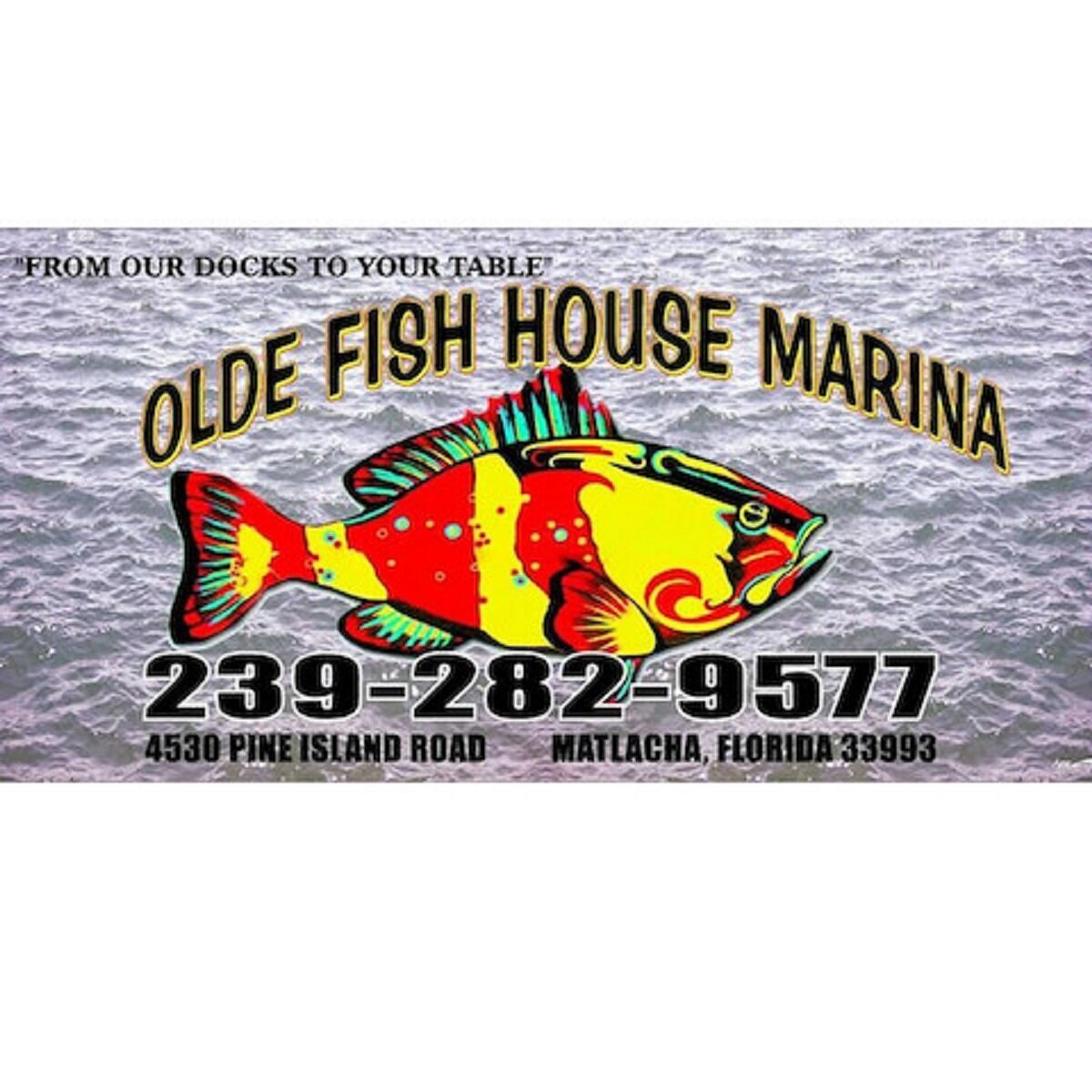 Old Fish House Matlacha Florida: Your Destination for Fresh Seafood and Scenic Views