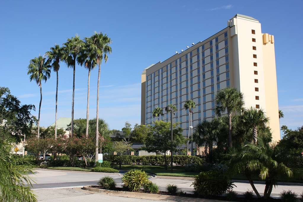 Hotel photo 13 of Rosen Plaza Hotel.