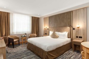 Room & Suite