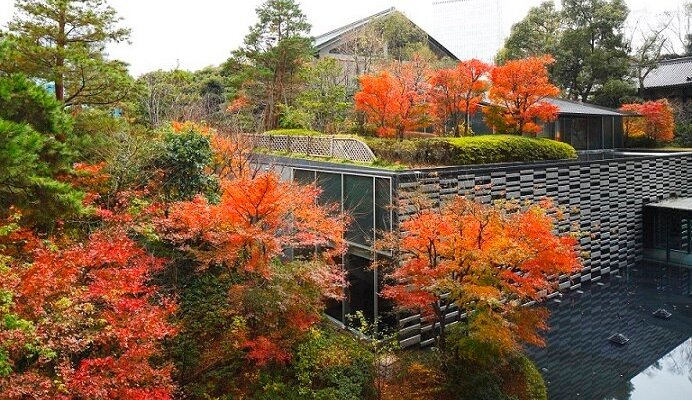 ホテル周辺の紅葉
