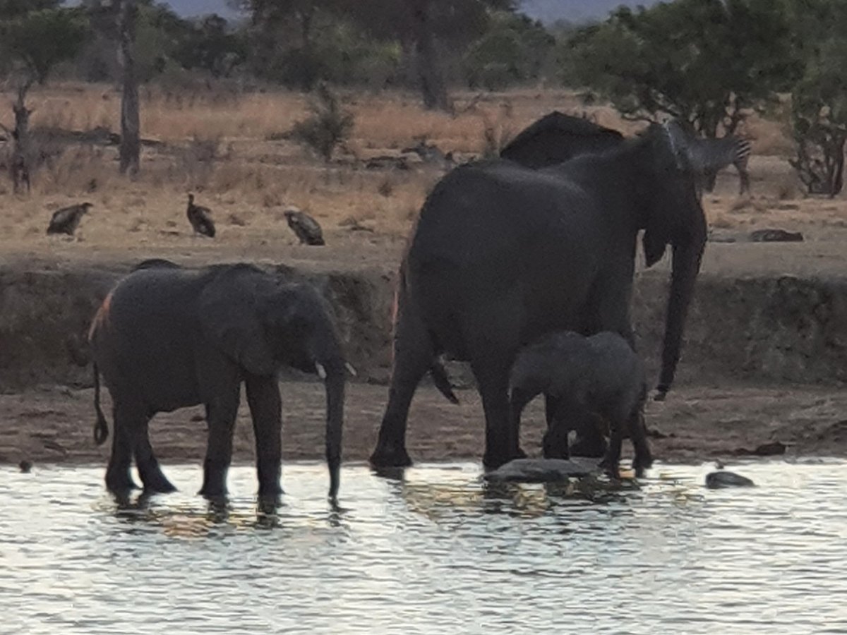 urafiki tours and safari