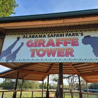 Alabama Safari Park - All You Need to Know BEFORE You Go (2024)