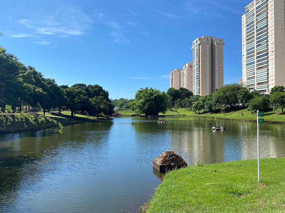 Novembro de 2021 Durante uma corridinha matutina!