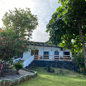 Garden at La Peregrina Galapagos B&B