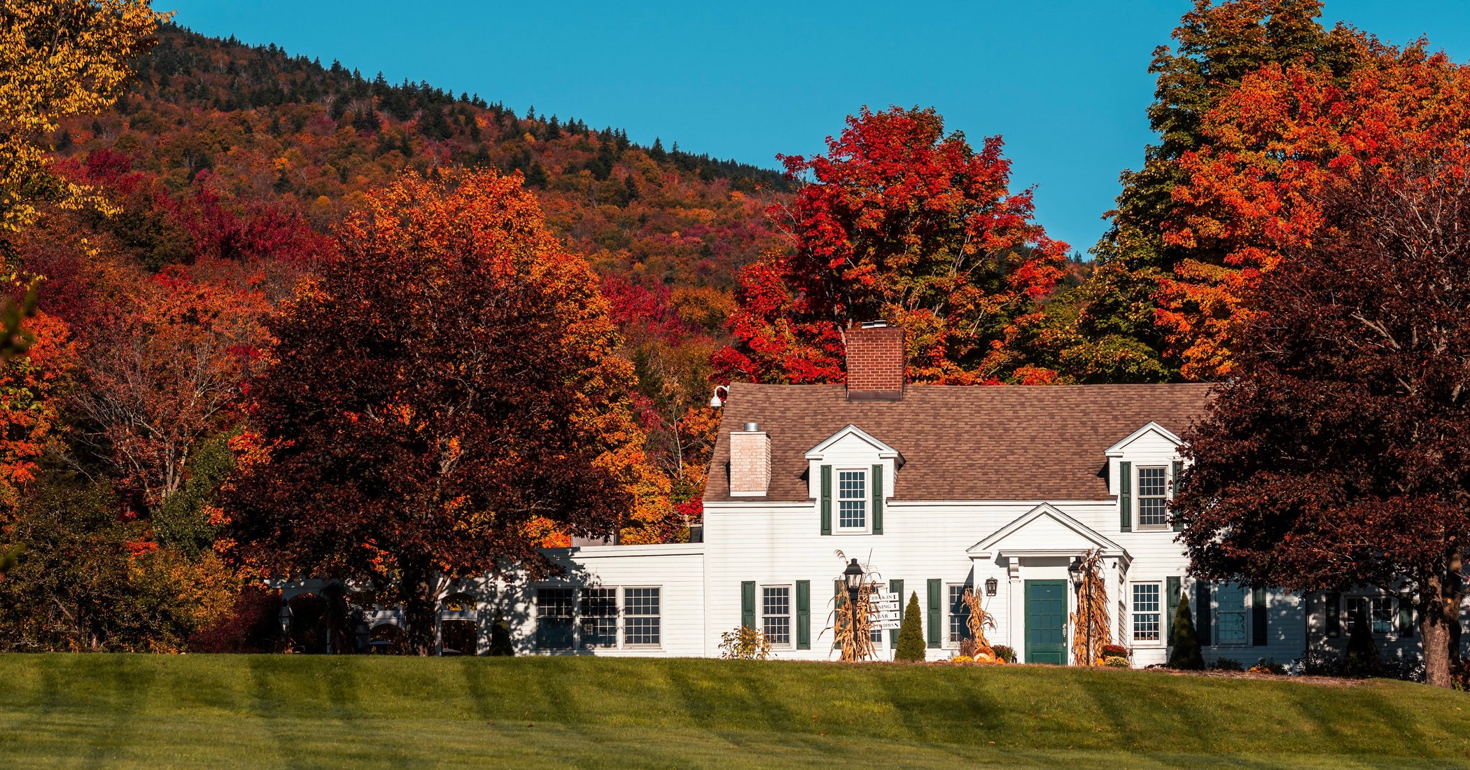 The Hermitage Inn by null