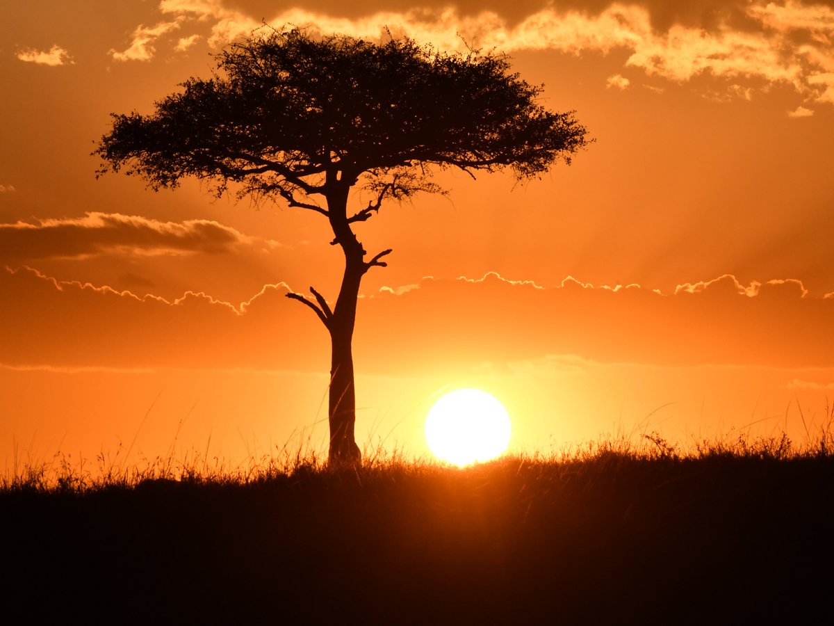 Cryptic Safaris (nairobi) - All You Need To Know Before You Go