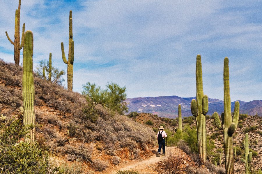 Escape to the Desert Oasis: Arizona Desert Sands RV Park - Your Home Away from Home