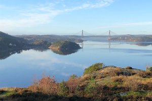 Svit och rum