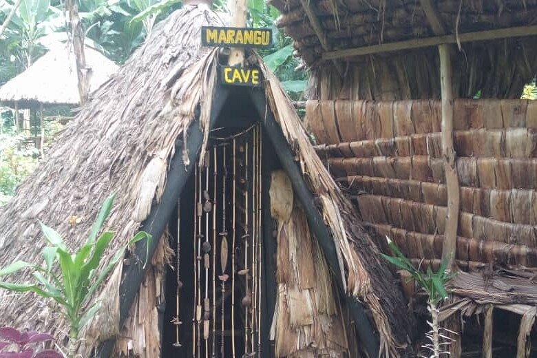 Marangu Chagga Cave and Coffee Processing image