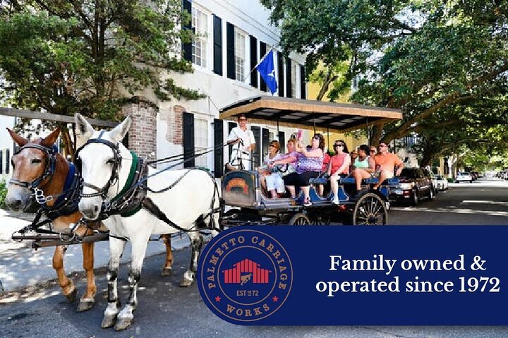 Palmetto carriage tours hot sale charleston