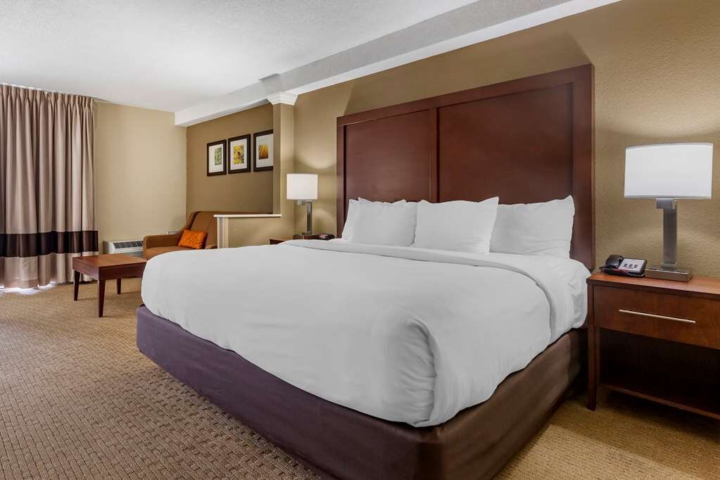 Hotel photo 10 of Comfort Inn & Suites.