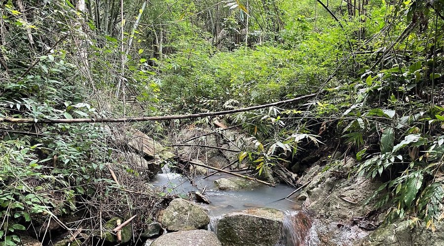 One of the many creeks