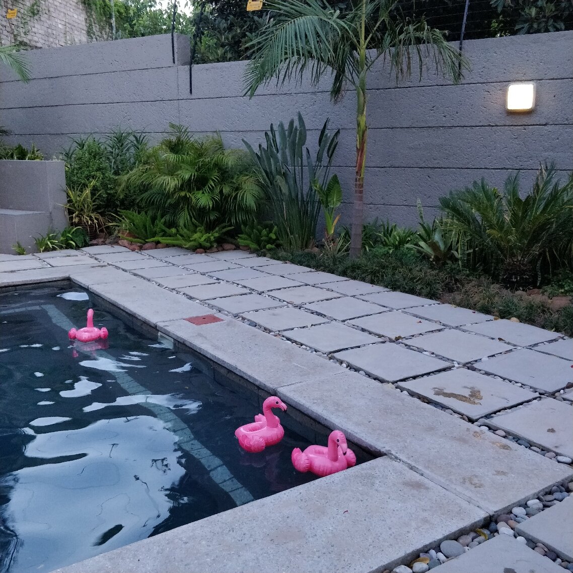 Hotel photo 10 of Lowveld Living Guesthouse.