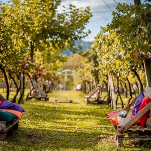 APTO TEMÁTICO VINHOS E ESPUMANTES - COMPLETO LUXO BENTO GONÇALVES (Brasil)  - de R$ 255