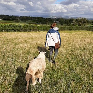 TANPITS CIDER FARM (Taunton) - What to Know BEFORE You Go