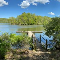 Salt Fork State Park - All You Need to Know BEFORE You Go (2024)