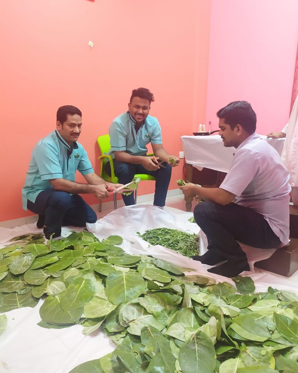 Kottakkal Ayurvedic Treatment Centre Dubai Lohnt Es Sich