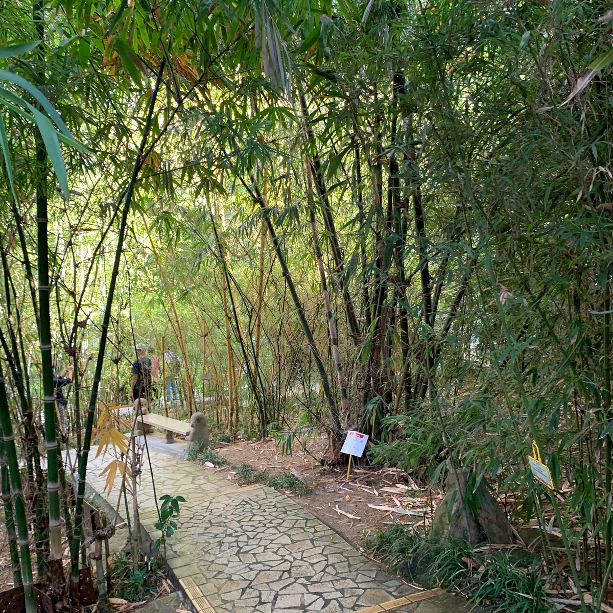 Bamboo Garden Stone Pathway ?w=1200&h=1200&s=1
