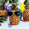 Pineapple_Karaoke