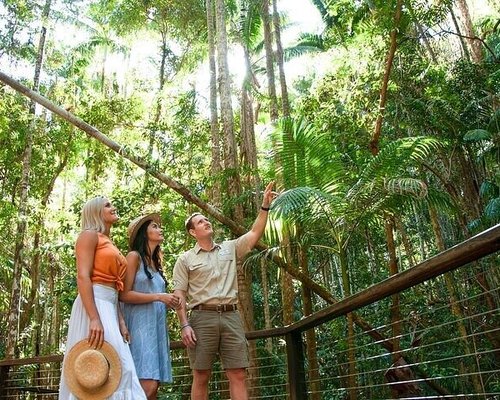 fraser island explorer day tour